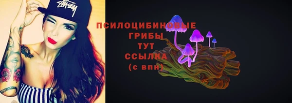 прущие крисы Покачи